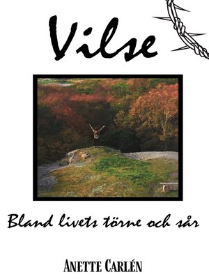 cover image of Vilse